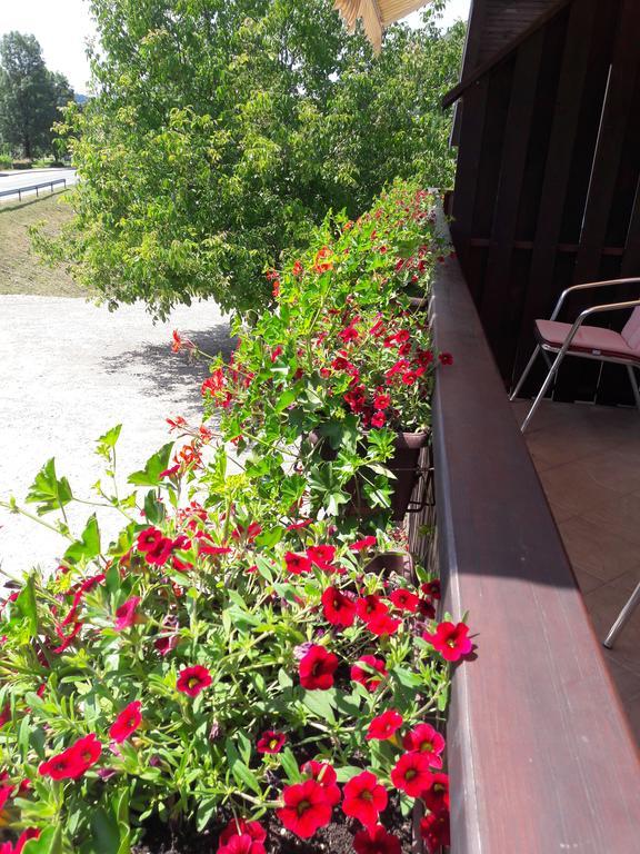 House Anamarija Hotel Seliste Dreznicko Bagian luar foto