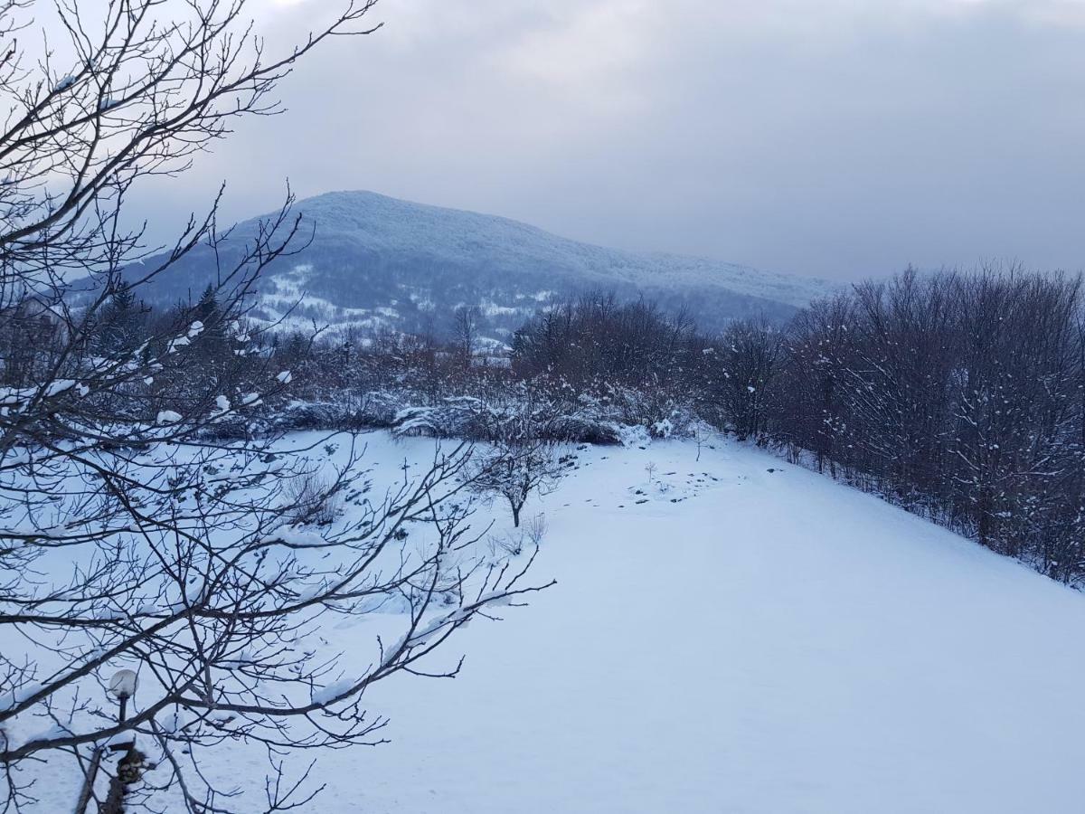 House Anamarija Hotel Seliste Dreznicko Bagian luar foto